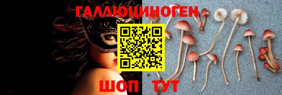 Псилоцибиновые грибы Psilocybine cubensis Арсеньев